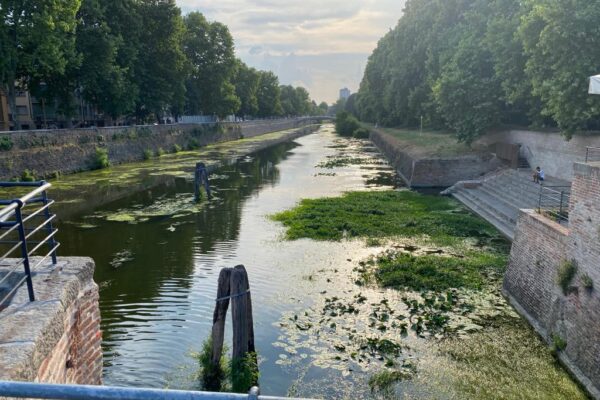 La scalinata fluviale e la crisi idrica (2)